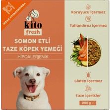Canarino Kito Fresh Somon Etli Köpek YEMEĞI%100 Taze Içerikli Mama 250 gr