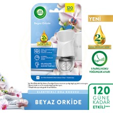 Air Wick Elektrikli Kit Oda Kokusu Beyaz Orkide