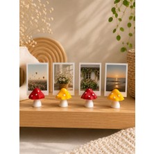 Msv Studio 3d Mantar Temalı Fotoğraf Tutucu 4’lü Set | Dekoratif Polaroid Stand & Masa Süsü