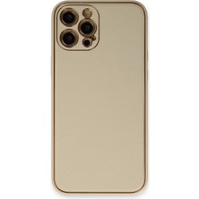 SDT Newface Apple iPhone 12 Pro Kılıf Coco Deri Silikon Kapak - Gold
