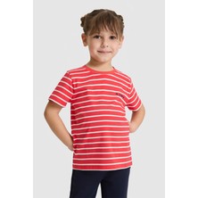 U.S. Polo Assn. Kız Çocuk Bisiklet Yaka Çizgili Kırmızı Tişört 50325678-VR213