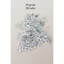 Marsilyan Oya Abiye Bileklik Kolye Pleksi Metalik Plastik Pul Gümüş Renk 24 Gram 210 Adet - BNC573