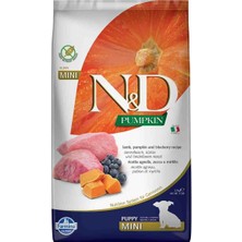 N&d Pumpkin Tahılsız Bal Kabaklı Kuzu Etli Yaban Mersinli Küçük Irk Yavru Köpek Maması 2,5 kg
