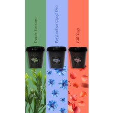 Gleam&glow Avantajlı 3'lü Su Bazlı Vücut Arındırma Peelingi Seti - 3 Adet Gliserinli Şekerli Set