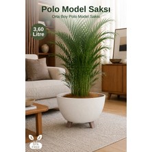 Nandy Home 3,6lt. Polo Model Orta Boy Ayaklı Saksı - Yükseltilebilir Ayaklı Dekoratif Saksı