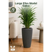 Nandy Home Large Efes Model Dekoratif Saksı Iç Kovalı - 28LT.