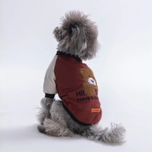 Pawstar Kahverengi Baby Teddy Kedi Köpek Sweat