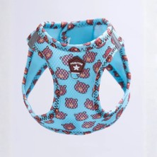 Pawstar Bears Kedi Köpek Airmesh Tasma