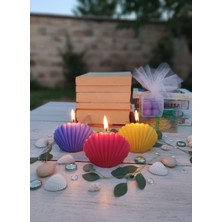 AY IŞIĞI MUMLARI İstiridye 3'lü Hediyelik Dekoratif Hoş Kokulu Soya Wax Mum (Kırmızı + Sarı + Mor Renkli)