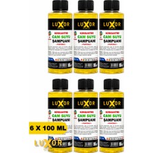 Luxor Kimya Konsantre Oto Cam Suyu Şampuanı 100ML 6 Adet