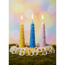 AY IŞIĞI MUMLARI Sarmaşık Saatli 3'lü Hediyelik Dekoratif Hoş Kokulu Soya Wax Şamdan Mum (Sarı + Mavi + Pembe Renkli)