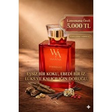Wanna Stardust 100 ml Eau De Parfum Unisex Parfum– Niş, Odunsu & Ultra Kalıcı Lüks Koku