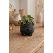 GIFT MALL Mini Kalpli Sevimli Karakter Saksı - Masalara Özel Dekoratif Obje