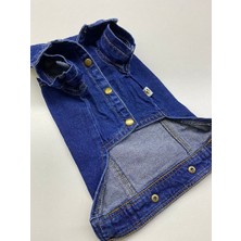 GedyCo Denim Kedi Köpek Kot Ceket