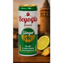 Beyoğlu Ginger Ale Zencefil Aromalı Gazoz 250 ml