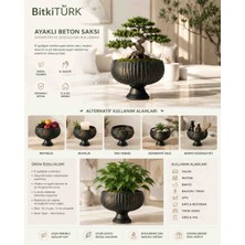 🌿 Bitkitürk Premium Salon ve Ofis Bonsai Saksısı 19 cm | Siyah Ayaklı Beton Saksı | Dekoratif Masaüstü Saksı | El Yapımı Beton Tasarım