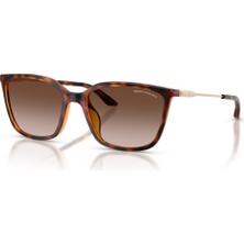 Ax 4171SU 821313 55 Armani Exchange Güneş Gözlüğü
