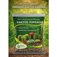 Hüskon Ticaret 5 Litre Premium Kaktüs Toprağı - Böcek Sinek Yapmayan Premium Toprak