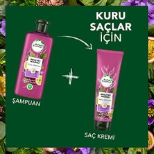 Teknollojia Herbal Essences Besleyici Çarkıfelek Çiçeği & Saç Bakım Kremi 275 ml