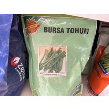 Bt Alman Ayşe 4numara Sırık Fasulye 1 kg