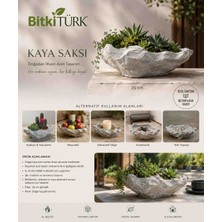 🌿 Bitkitürk Özel Üretim Beton Kaya Saksı 25 cm | Bonsai Saksısı | Dekoratif Beton Saksı | El Yapımı Modern Kaya Tasarım