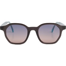 Swing Antandros SE356-COL08 Unisex UV400 Güneş Gözlüğü