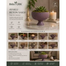 🌿 Bitkitürk Ayaklı Beton Saksı 19 cm | Dekoratif Beton Saksı | Sukulent ve Iç Mekân Bitki Saksısı | El Yapımı Modern Saksı
