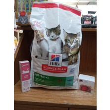SY Hill's Science Plan Ton Balıklı Yavru 7 kg Kuru Kedi Maması+Crocus Yavru Kedi Malt 100 Gr+Otomatik Yuvarlanan Şarjlı Kedi Oyun Topu