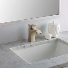 Venturi Banyo Lavabo Bataryası, Tek Kontrol, 1 Saplı, Tek Delikli, Spot Savunma Fırçalanmış Nikel Kaplama, LF042VNGS