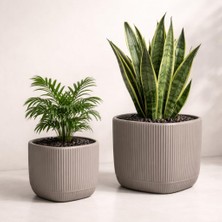 Kare Saksı Seti 1,8 Litre + 4 Litre, Iç Mekan - Dış Mekan 2li Ekonomik Tabaklı Plastik Saksı Set Kahve Renk