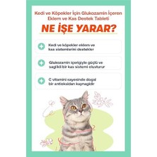 Biofeline Move+G Glucosamine Tablet (Kedi ve Köpekler Için Eklem ve Kas Desteği)