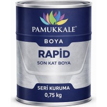 Pamukkale 1402 Rapid Hızlı Kuruyan Metal Boyası Parlak 0.75 kg Çimen Yeşili Ral 6001