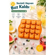 Evolis Kitchen 1 Adet Turuncu 16'lı Silikon Isıya Dayanıklı Yanmaz Yapışma Yapmaz Çikolata ve Buz Kalıbı