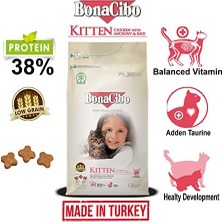 Bonacibo Kitten Tavuk Hamsi Yavru Kedi Maması 1,5 kg