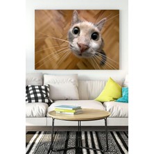 (PSTER16508) Kedi Eğlenceli Mizahi Kanvas Tablo 4 50 x 70