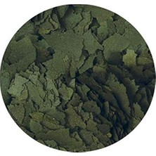 Prime Super Spirulina Pul Yem 100GR Kovadan Bölme