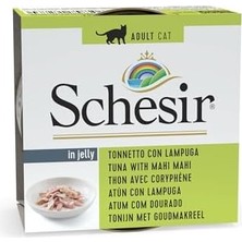 Prime Schesir Jelly Ton Balığı ve Mahi Mahi Balığı Jöle Içinde Yetişkin Kedi Konservesi 85G