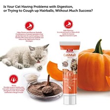 Prime Bio Petactive Bio Cati Malt Paste 100 Ml.