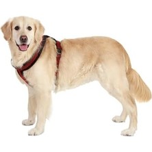 Prime Yumuşak Göğüs Tasma 48-55 cm Siyah-Kırmızı