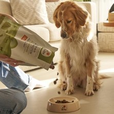Prime Kito Doğal Besi Kuzu Etli Yetişkin Köpek Maması 2.5 kg