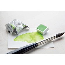 Prime Akademie Aquarell Yarım Tablet Sulu Boya 664 Burnt Umber