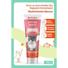 Prime Biofeline Yavru Kedi Macun 100G ve Yavru ve Anne Kediler Için Bağışıklık Sistemi Destekleyici Macun