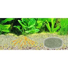 Prime Sera Floredepot (2.4kg)