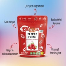 Prime Pol's Helvart Freeze Fresh Çilek 15 gr