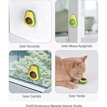 Prime Catnipli Kedi Çimi Topu Kedi Nanesi Oyuncağı