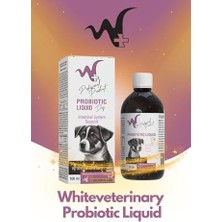 Prime Köpekler Için Sindirim Sistemi Destekleyici Probiyotik 100 ml