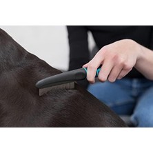 Prime Köpek Pire ve Bit Tarağı, 21CM