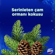 Prime Domestos Wc Blok 5'li Güç Çam Ferahlığı 600 Sifona Kadar Güçlü Temizlik 110 gr Ikili Paket