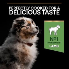 Prime Pro Plan Puppy Sensitive Digeston Kuzu Etli Yavru Köpek Maması 3 kg