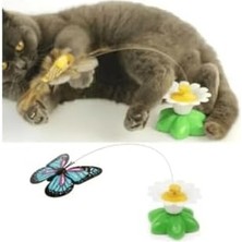 Prime Evcil Hayvan Hareketli Dönen Kelebek-Kedi Oyuncağı (Pille Çalışır)
